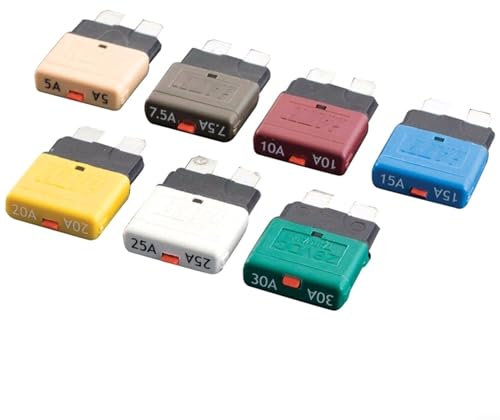 1 interruttore di sicurezza, 12 V, 24 V, ripristinabile, 5-30 A, reset automatico (30 A)