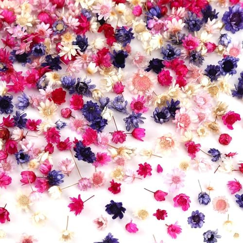 420 Pièces Petites Fleurs Séchées Roses pour Artisanat, Décoration DIY Ongles, Bougies en Résine, Scrapbooking et Décoration Quotidienne de la Maison