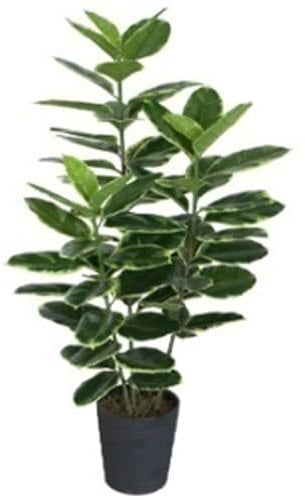 120cm Artificial Rubber Tree
