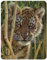 3D LiveLife Magnet - Discovery from Deluxebase. Lenticular 3D Tiger Fridge Magnet. Magnetic decor for kids and adults with artwork licensed from renowned artist, Collin Bogle
