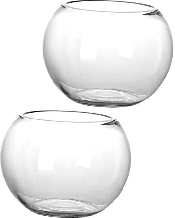Happyyami 2pcs Glass Bubble Vase Width Mouth Fish Bowl Vase Bubble Bowl Vase for Terrarium Flower vase Centerpiece 12x9cm