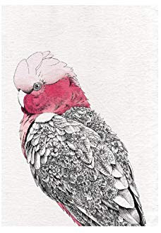 Maxwell & Williams Marini Ferlazzo Birds Bedrucktes Geschirrtuch mit Kastanienbraunem Entendesign, Baumwolle, Schwarz/Weiß, 50 x 70 cm