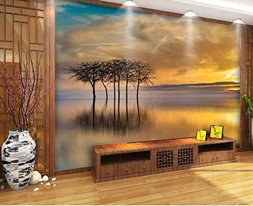 XiuTaiLtd Fototapete 3D Effekt Tapeten Sonnenuntergang Bäume Irland Seidetapete 3D Tapete Moderne Wandbilder Wanddeko-300x210 CM