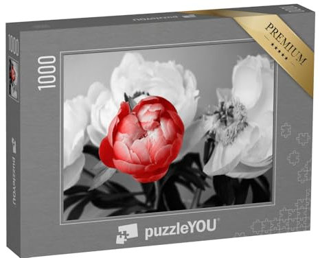 puzzleYOU: Puzzle 1000 Teile „Rote Pfingstrose vor schwarz-weißem Hintergrund“ – aus der Puzzle-Kollektion Fotokunst