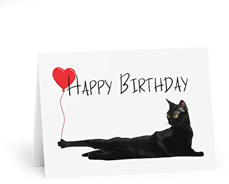Geburtstagskarte mit Katzen, schwarze Katze, Geburtstagskarte, Baloon