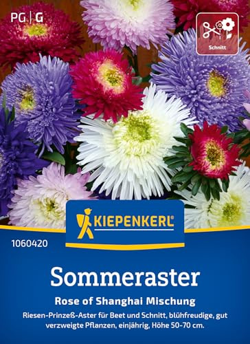 Kiepenkerl Sommerastersamen Rose of Shanghai Mischung 106042 | farbenfrohe Bluetenmischung, ideal fuer Beet und Vase, sonniger Standort, lange Bluetezeit, einjaehrig, pflegeleicht