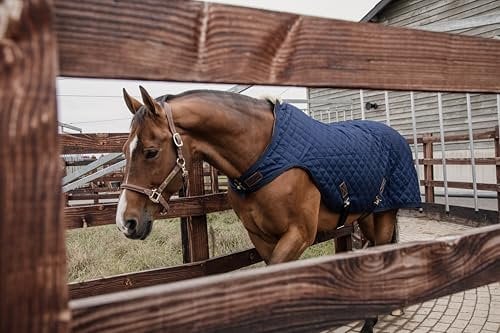 Kentucky Walker Rug Führanlagendecke 160 g Größe: 140 Farbe: Navy