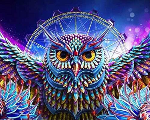 Crafts&Co® Diamond Painting Set, 5D Diamant Malerei, DIY, Malen nach Zahlen, Runde Dril Perlen, Wandbild, Kunsthandwerk für Zuhause, Wanddekoration (Eule, 40 x 50 cm)
