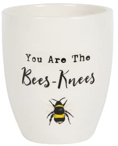 something different Cheerful White Bee-Adorned Ceramic Plant Pot - 13cm x 11cm (1 Pc.) - Heartwarming Gift with 'You are the Bees-Knees' Text - Ideal for Teachers or Special Occasions