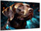 Munera Design - Bild 40x60 - niedlicher Welpe Hunde Portrait - Wand-Bilder Wohnzimmer