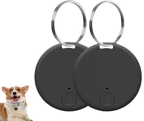 Dispositivo Localizzatore Gps, 2PCS Tracciamento Chiave Gps, Dispositivo Anti-Perdita, Localizzatore Chiavi, Smart Tag C-hiaves Monitoraggio Con Promemoria Di Allarme Bidirezionale