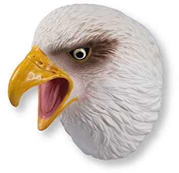 Wild Play Puppen – Adler von Deluxebase Kindertier Handpuppe Spielzeug