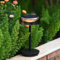DAWALIGHT Lampada da tavolo a batteria, per esterni, dimmerabile, 3000 K, luce bianca calda, impermeabile, IP54, per esterni, giardino, balcone, soggiorno, cucina, colore nero