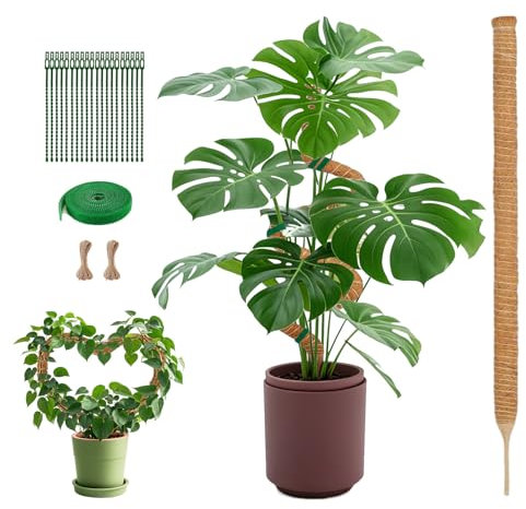 SZMDLX Schwer Monstera Rankhilfe, 120CM/47inch Moss Pole, Rankhilfe zimmerpflanzen Monstera Rankhilfe, Moosstab für Monstera mit Hanf Seil & Kabelbinder & Pflanze Band