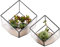 ELEGANTLIFE Geometrisches Pflanzgefäß aus Glas, Blumentopf, Tisch-Pflanzgefäß, Dekoration, Glasvitrine, Sukkulenten- und Luftpflanzen-Pflanzgefäß für Zuhause, Garten, Büro, Dekoration (schwarz,