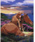 feelive Cheval Peinture par Numéro pour Adulte, Kit de Peinture à l'huile sur Toile Bricolage pour Débutants Avec Pinceau Pigment Acrylique 30x40cm