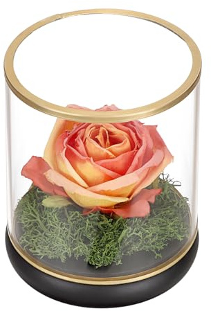 OGANAZI Rund Glasvitrine Transparent Klein Vitrine mit Schwarz Holzsockel | Tisch Displaybox Staubdicht Organizer für Ewige Rose, Mini Figuren, Sammlerstücke Geburtstag, Hochzeit Geschenk 10,3x11,8 cm