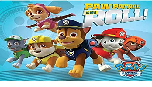 Pyramid International On A Roll Paw Patrol Mini-Poster, Kunststoff/Glas, mehrfarbig, 40 x 50 x 1,3 cm