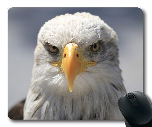 YENDOSTEEN (genaue - kante - Mousepad), Raptor Gaming - Maus MIT Bill Geier für Mac Oder Computer Mouse pad.