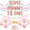 Bunny 1st Birthday Party Dekorationen liefert einige Bunny ist ein Ballons Bunny Folienballons Girlande für Osterhasen Birthday Party Supplies
