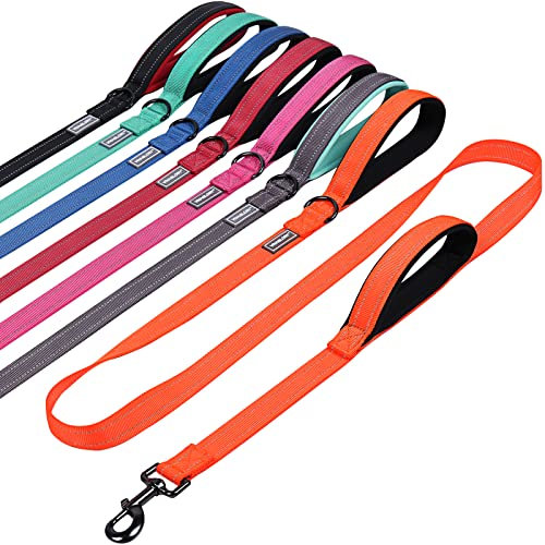 VIVAGLORY Twingrip Führleine Hund, Leine Hund Hausleine Joggingleine, Hundeleine mit 2 Griffen Doppelgriff, Gepolstert Neopren & Reflektierend, 1.5m x 2.5cm, Orange
