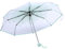 CHEOTIME Sakura Faltschirm, Regenschirme, Transparenter Faltschirm, Modischer Prinzessinnen-Regenschirm, Kirschblüte, Für Damen, 4 Farben(Hellgrün)