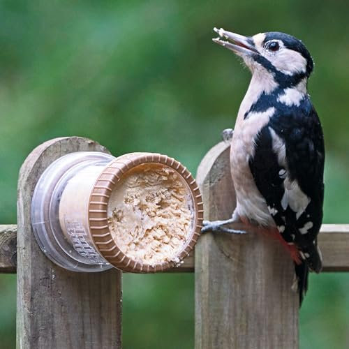 Flutter Butter® Wall Feeder For Garden and Wild Birds - Jacobi Jayne® Flutter Butter® Feeder - Perfect for garden sheds and fences