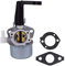 Gathukila Carburateur de rechange pour moteur de motoculteur 696065 697422 110402 110412 215369