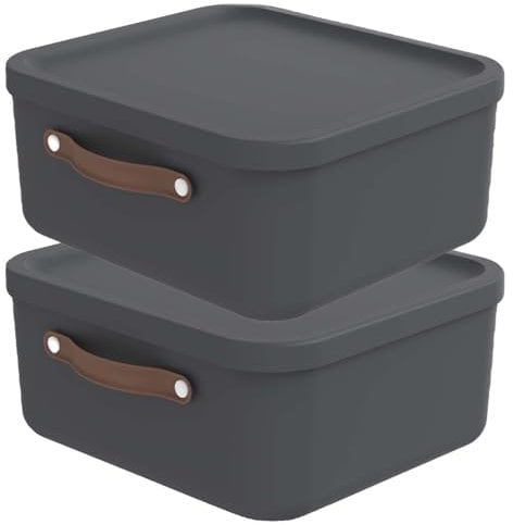 Rotho Maloja 2er-Set Aufbewahrungsbox mit Deckel 20 l, Kunststoff, anthrazit, 20 (39.5 x 38.0 x 17.7 cm)