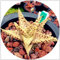 Shopmeeko 200 stücke Aloe bonsai Mix Ausgezeichnete Zimmerpflanzen Sukkulenten Aloe Vera bonsai Verwenden Sie Schönheit essbare kosmetische Bonsai-Pflanzen Pflanzen: 23
