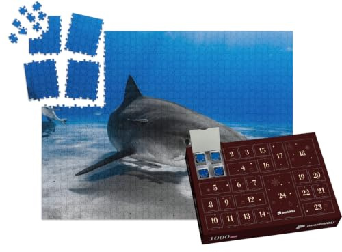 puzzleYOU: Puzzle-Adventskalender | „Tigerhai schwimmt über das Riff“ – aus der Puzzle-Kollektion Haie