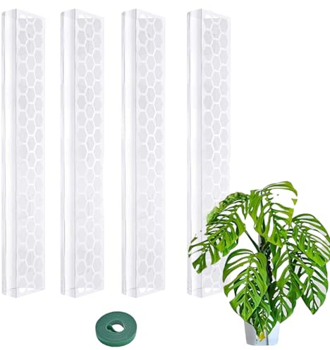 Tuteur de en Mousse - 27 x 8 cm - Plastique PP - Rallonge empilable - Coque Semi-cylindrique Transparente - Jardin d'intérieur Monstera Deliciosa Pothos Philodendron Creeper Money Tree Sphagnum