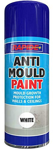 RnT Anti Mould Spray Paint Rapide 400ml Premium Quality Used For Protections Of Walls And Ceilings 2693 Metal Wood Plastic Ceramic