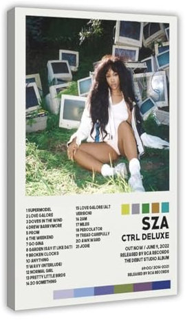 Pop Sänger SZA Ctrl Album Cover Poster Leinwand Poster Wandkunst Dekor Druck Bild Gemälde für Wohnzimmer Schlafzimmer Dekoration Rahmenstil 40 x 60 cm