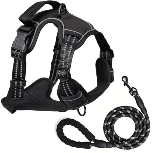 Hundegeschirr und 1.5m Leine Set, Brustgeschirr für Kleine Mittelgroße Grosse Hunde, Weich Atmungsaktiv Einstellbar Reflektierend Hundegeschirr Anti Zug (Schwarz, M)