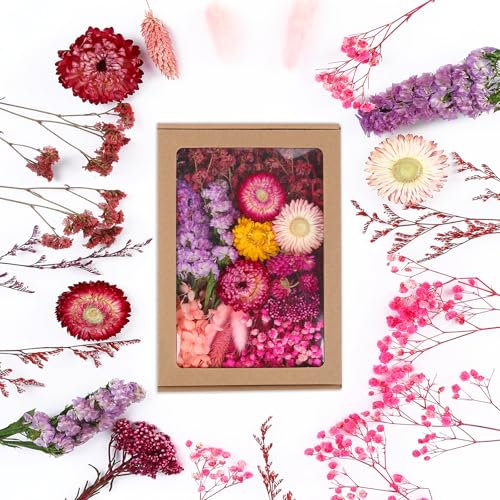 JULBEAR Getrocknete Blumen, Trockenblumen zum Basteln Klein Trockenblumen Deko Rosa Trockenblumen mit Papierbox Dried Flowers für Heimwerken Harz Scrapbooking Karten Heimdekoration