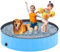 Taeku Piscina Perros Grandes, Baño Portátil Piscina para Perros PVC Plegable para Perros Resistente Bañera para Perros Interior Exterior (120 x 30 cm Azul)
