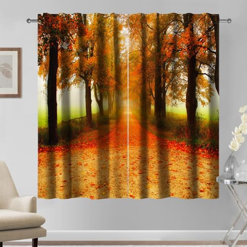 Kzzfqxb 132x214cm Helle Malerische Vorhänge 2 Paneele, Herbst Wald Landschaft Feurig Rote Blätter Bedeckte Landstraße, Wunderschöne Natur Dekor für Wohnzimmer Schlafzimmer