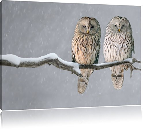 Pixxprint Zwei Eulen in Winterlandschaft, Größe: 80x60cm, Leinwandbild, fertig gespannt, Wandbild, Dekoration, Kunstdruck, kein Poster