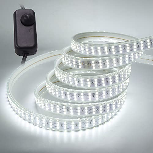 Wisada 220V Ruban LED Dimmable, 1m Blanc Froid 6000K 276LEDs 2849,Lumineux Bandeau Led,Bande LED imperméable avec Variateur, DC Connecteurs,Eclairage Intérieur pour Meuble,Escalier,Chambre, Cuisine