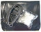 Bâche hivernage Piscine Hors Sol PROCOPI BWT myPool Tropic Hexa 410 - Ø 403 cm - Toile PVC 640 g/m² Gris foncé - Couverture Hiver