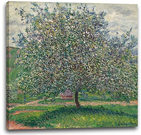 Printed Paintings Leinwand (70x70cm): Claude Monet - Apfelbaum