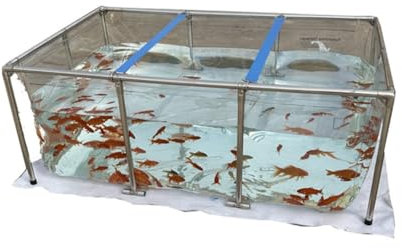 Piscine Hors Sol Transparente pour Aquarium, étang avec vanne de vidange, Toile en PVC avec Cadre en Acier pour étangs à Poissons ClearTank Koi Goldfish (Couleur : Transparent, Taille : 3 x