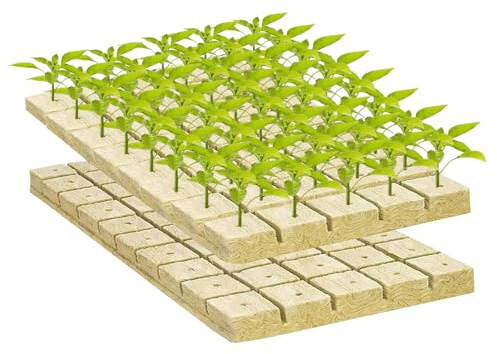 XPJBKC 100 Pezzi Cubetti Lana di Roccia Idroponica, Cubi di Lana di Roccia per Coltivazione 2,5x2,5x2,5CM, Roccia Cubi di Lana di Roccia, per Talee, Clonazione, Propagazione