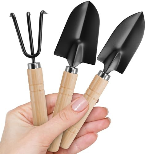 MALARNEY Lot de 3 Outils de Jardinage Mini Pelle à Manche en Bois pour Plantes succulentes Large