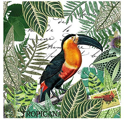 Ambiente Europe Serviette Tropicana 33 x 33 cm