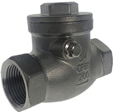 EMVIXTGLK BSPT 1-1/2 DN40 PN16 CF8M Gewinde-Rückschlagventil 200PSI Edelstahl SS304 Rückschlagventil mit Innengewinde(DN40)