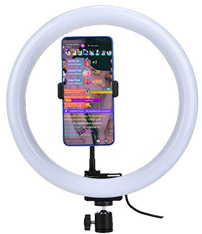 Itonash Luce Dimmerabile da 12 Pollici 160 LED 3200K-5600K con Cavo USB da 2 Metri per Trucco, Trasmissione in Diretta, Manicure, Tatuaggio, YouTube, Facile da Usare Plug and Play