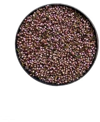 Kräutertee Heidekraut Blüte geschält 1 GANZES KILO Calluna vulgaris.