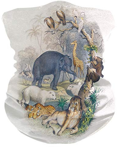 Afrikanische Elefanten Wilde Tiere Gesichtsmaske Schlauchtuch Kopftuch Stirnband Bandanas Kopfbedeckung Halstuch Gesichtsschal Für Männer Frauen Den Sport